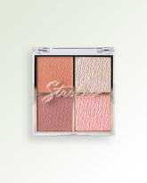 Blush and Flash Palette