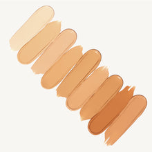 Load image into Gallery viewer, Spot Veil Concealer