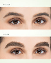 Load image into Gallery viewer, mpp-pyr-3