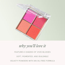 Load image into Gallery viewer, Blush Pop Palette