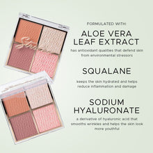 Load image into Gallery viewer, Blush and Flash Palette