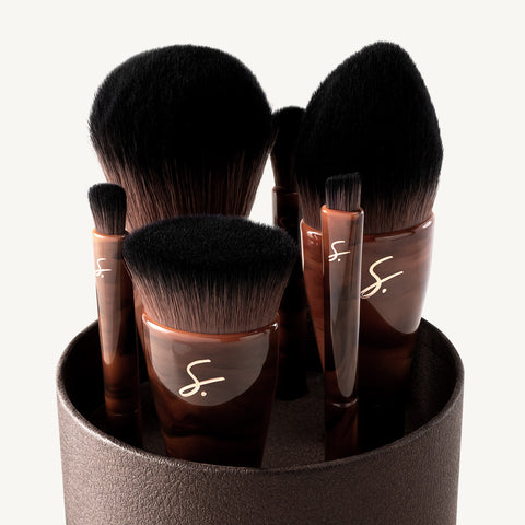 Pro Brush Elite Travel Collection