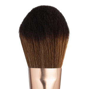 Powder Brush