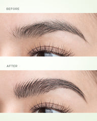 Brow Fixer