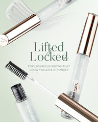 Brow Fixer