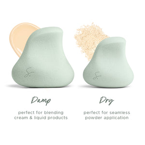 Complexion Pro Beauty Sponge