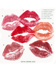 sat-vin-4