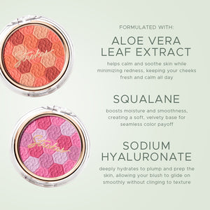 Sakura Mosaic Blush