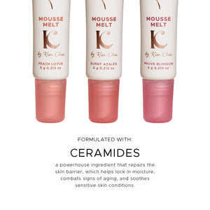 Mousse Melt Bundle